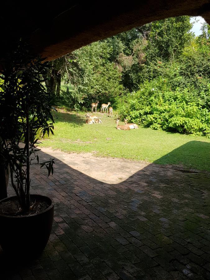 Kruger Park Lodge Unit No. 277 Hazyview Exterior foto